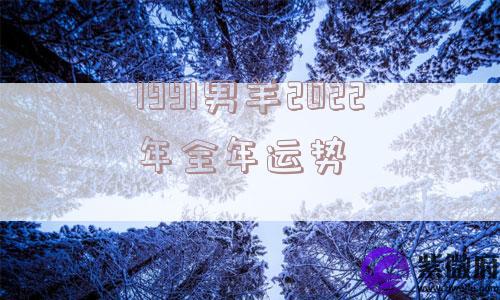 1991男羊2022年全年运势