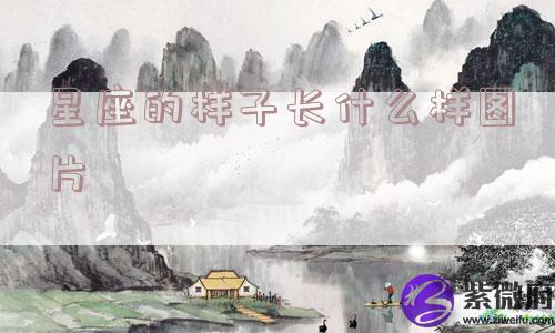 星座的样子长什么样图片