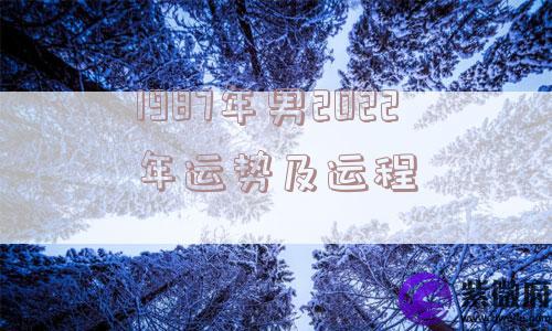1987年男2022年运势及运程