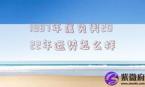 1987年属兔男2022年运势怎么样