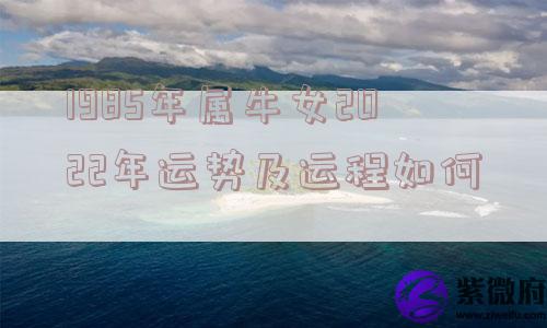 1985年属牛女2022年运势及运程如何
