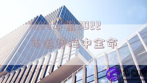 1984年鼠2022年运势海中金命