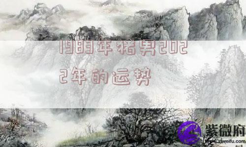1983年猪男2022年的运势