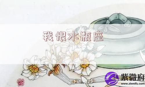 我恨水瓶座
