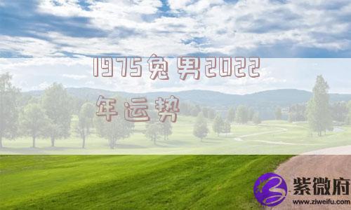 1975兔男2022年运势