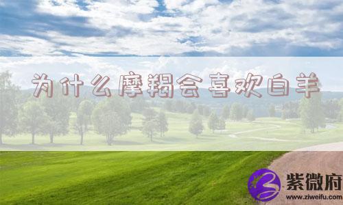 为什么摩羯会喜欢白羊