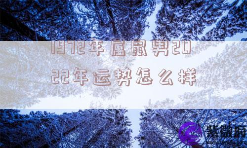1972年属鼠男2022年运势怎么样