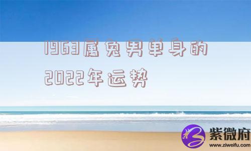 1963属兔男单身的2022年运势