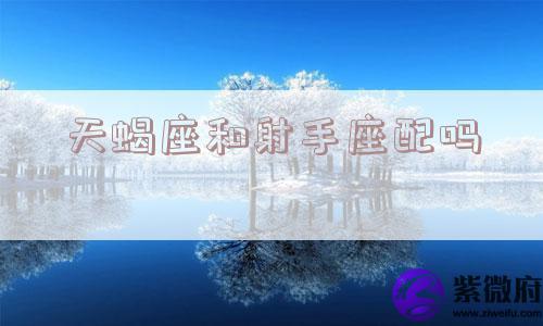 天蝎座和射手座配吗