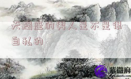 天蝎座的男人是不是很自私的