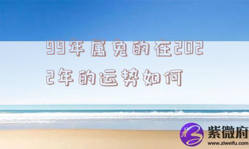 99年属兔的在2022年的运势如何