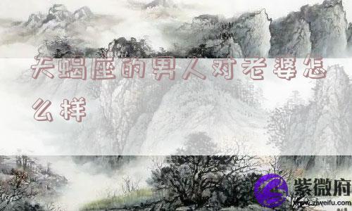 天蝎座的男人对老婆怎么样