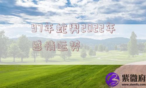 97年蛇男2022年感情运势