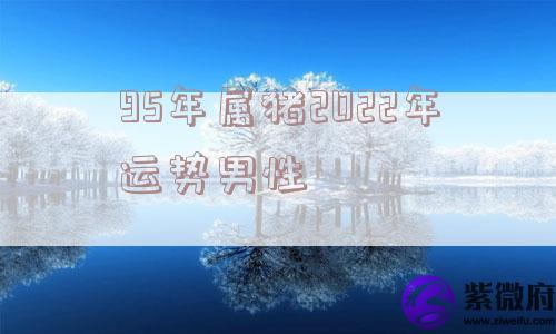 95年属猪2022年运势男性