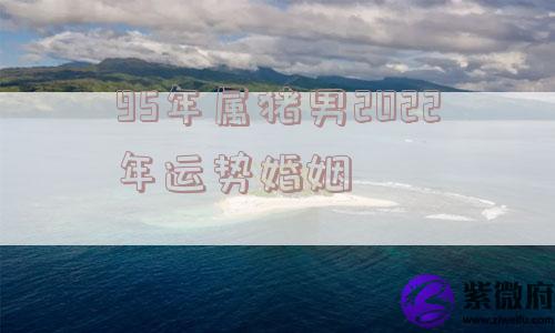 95年属猪男2022年运势婚姻