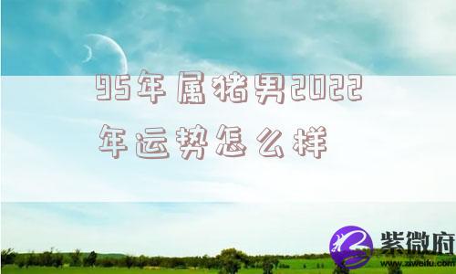 95年属猪男2022年运势怎么样