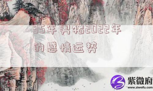 95年男猪2022年的感情运势