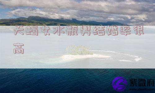 天蝎女水瓶男结婚率很高