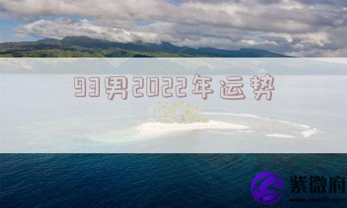 93男2022年运势