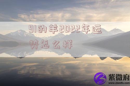 91的羊2022年运势怎么样