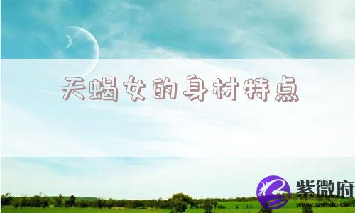 天蝎女的身材特点