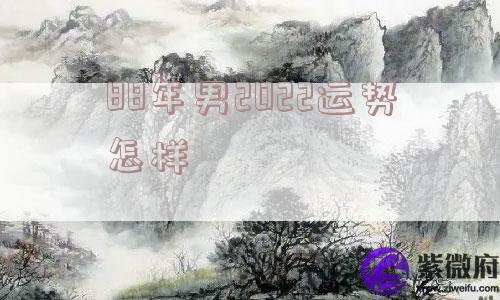 88年男2022运势怎样