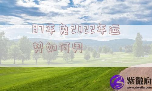 87年兔2022年运势如何男