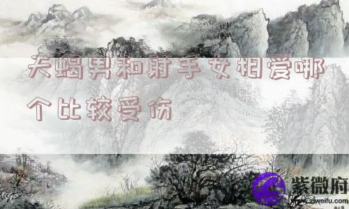 天蝎男和射手女相爱哪个比较受伤