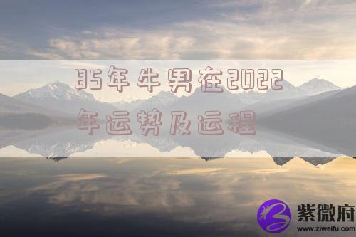 85年牛男在2022年运势及运程