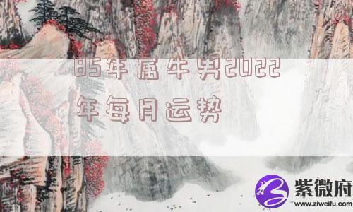 85年属牛男2022年每月运势