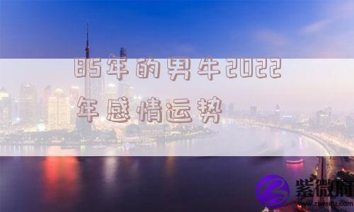 85年的男牛2022年感情运势