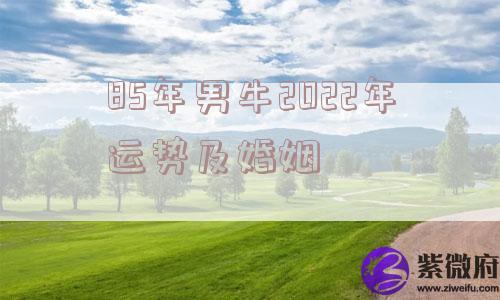 85年男牛2022年运势及婚姻