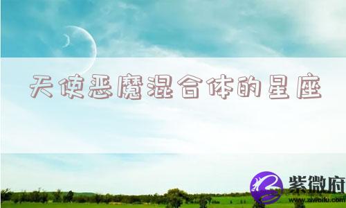 天使恶魔混合体的星座