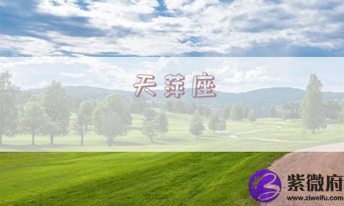 天萍座