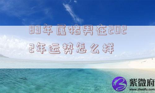 83年属猪男在2022年运势怎么样