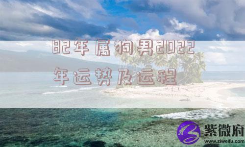 82年属狗男2022年运势及运程