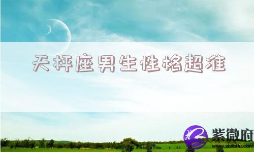天枰座男生性格超准