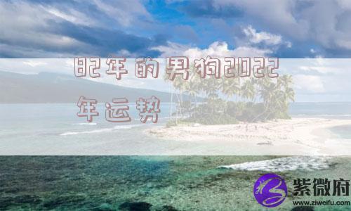 82年的男狗2022年运势