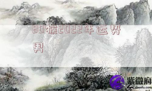 80猴2022年运势男