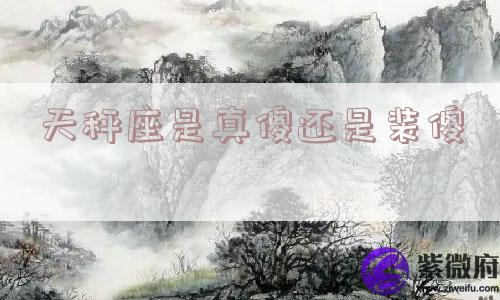 天秤座是真傻还是装傻