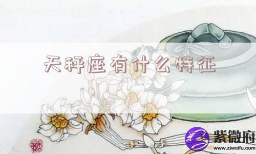 天秤座有什么特征