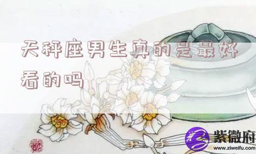 天秤座男生真的是最好看的吗