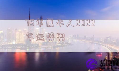 75年属牛人2022年运势男