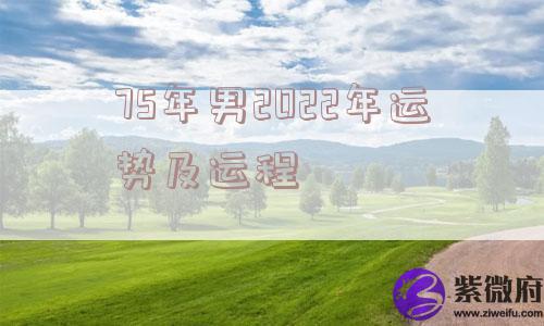 75年男2022年运势及运程