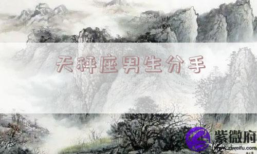 天秤座男生分手