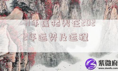 71年属猪男在2022年运势及运程