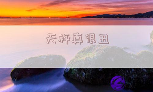 天秤真很丑