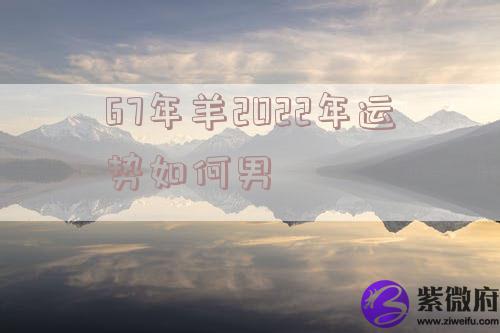 67年羊2022年运势如何男