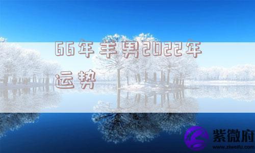 66年羊男2022年运势