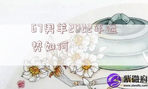 67男羊2022年运势如何